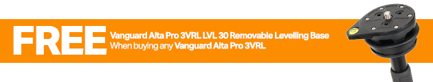 Vanguard - FREE 3VRL LVL 30