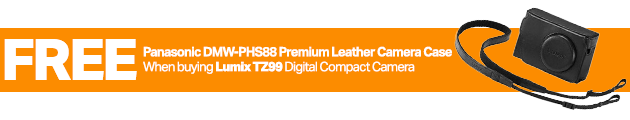 Panasonic DMW-PHS83 Genuine Leather Case