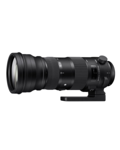 Sigma 150-600mm DG OS HSM Sport Series Lens: NIKON CA2667