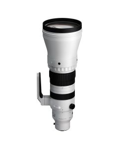 Sigma 300-600mm f4 DG OS Sports Lens - Sony FE Mount